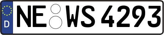 NE-WS4293