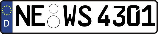 NE-WS4301