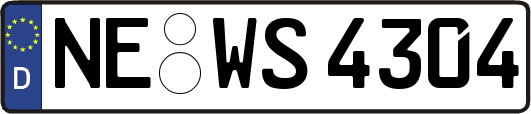 NE-WS4304