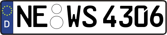 NE-WS4306