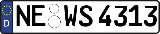 NE-WS4313