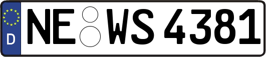 NE-WS4381