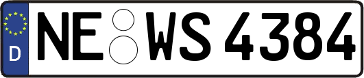 NE-WS4384