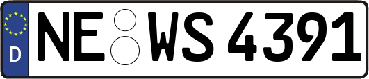 NE-WS4391