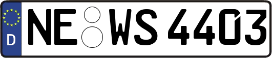 NE-WS4403
