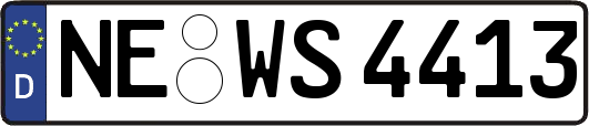 NE-WS4413