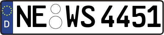 NE-WS4451