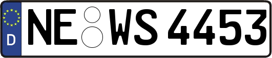 NE-WS4453