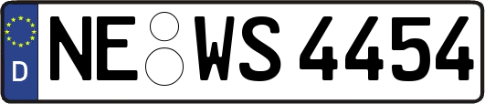 NE-WS4454