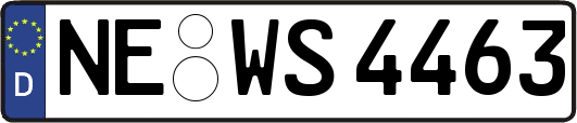 NE-WS4463