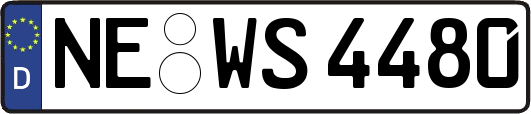 NE-WS4480