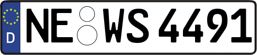NE-WS4491