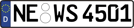 NE-WS4501