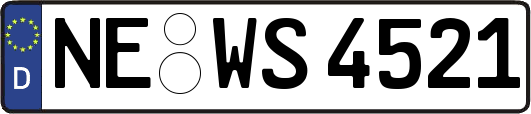 NE-WS4521