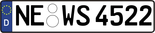 NE-WS4522