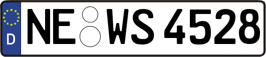 NE-WS4528