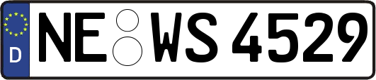 NE-WS4529