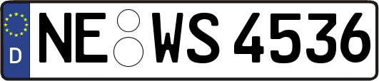 NE-WS4536