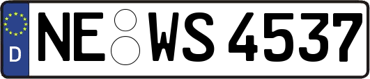 NE-WS4537