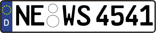 NE-WS4541