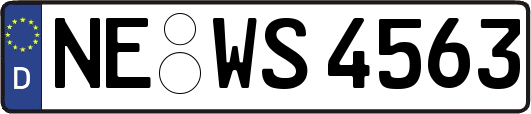 NE-WS4563