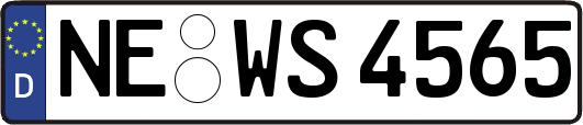 NE-WS4565