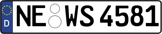 NE-WS4581