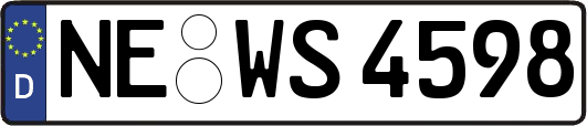 NE-WS4598