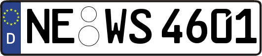 NE-WS4601