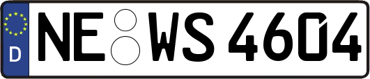 NE-WS4604