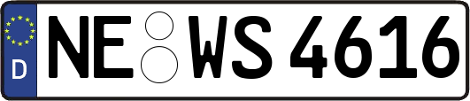 NE-WS4616