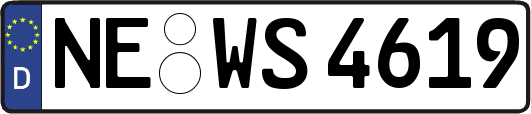 NE-WS4619