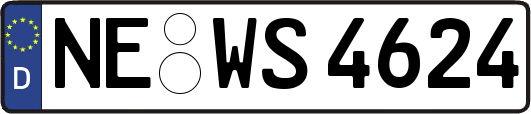 NE-WS4624