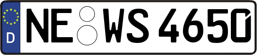 NE-WS4650
