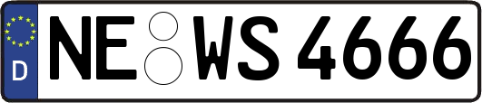 NE-WS4666