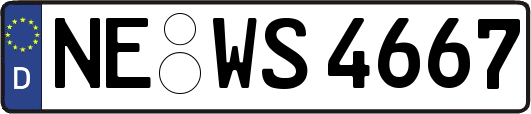 NE-WS4667