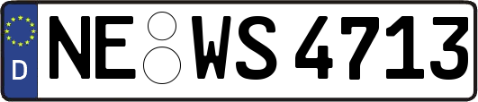 NE-WS4713
