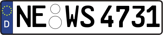 NE-WS4731