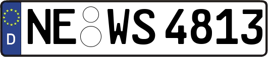 NE-WS4813