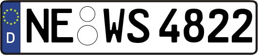 NE-WS4822