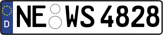 NE-WS4828
