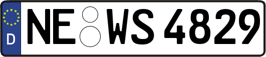 NE-WS4829