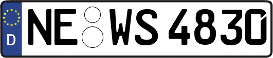 NE-WS4830