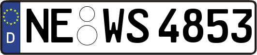 NE-WS4853