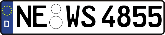 NE-WS4855