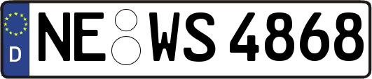 NE-WS4868