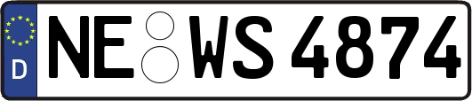 NE-WS4874
