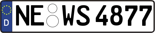 NE-WS4877