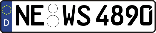 NE-WS4890