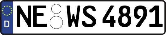 NE-WS4891